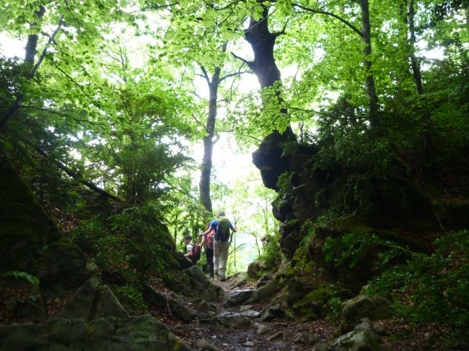 Bellmunt i la vall del Ges