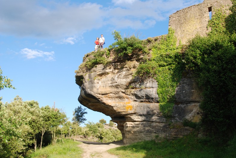 Excursió Geològica a Taradell