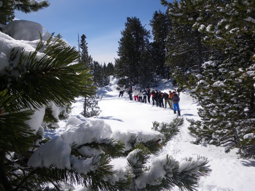 Trobada RAQUETES: Cerdanya Nord