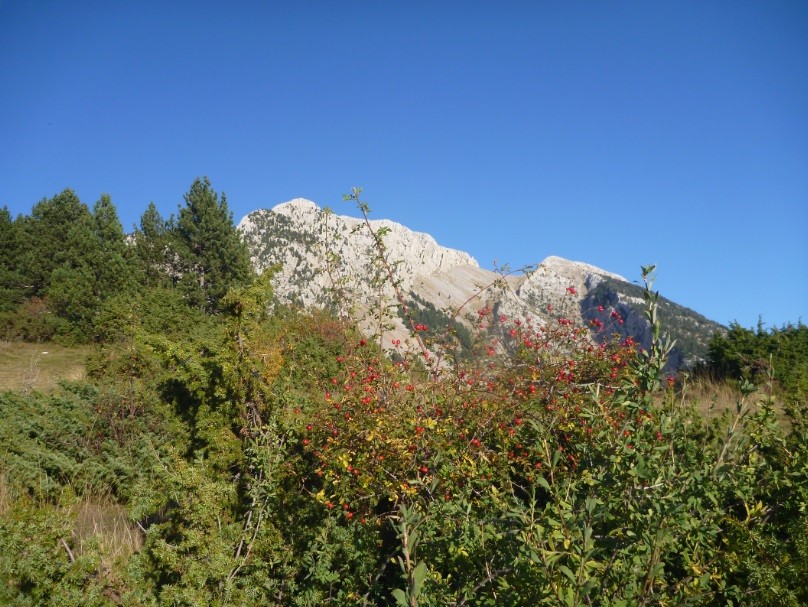Ascensió al Pedraforca (2506m)