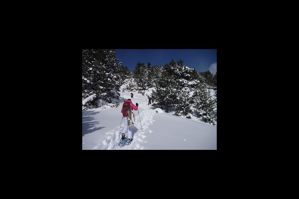 Experiència nòrdica amb raquetes de neu