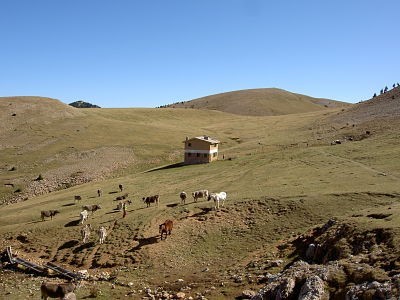 Gallina Pelada 2320 m