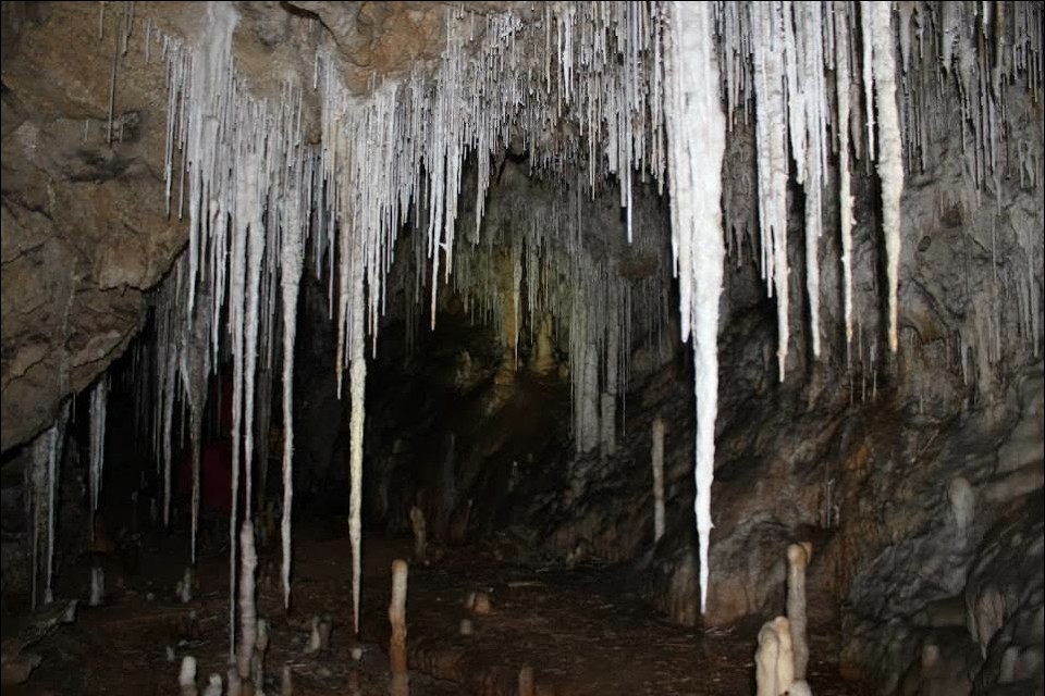 Sortida/taller descoberta de l’espeleologia 