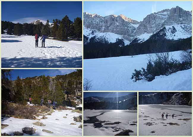 RAQUETES DE NEU