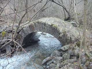 Ribes - Queralbs