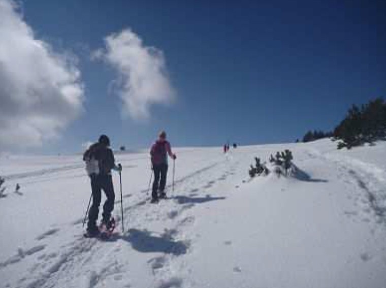 Raquetes de neu al Port del Comte